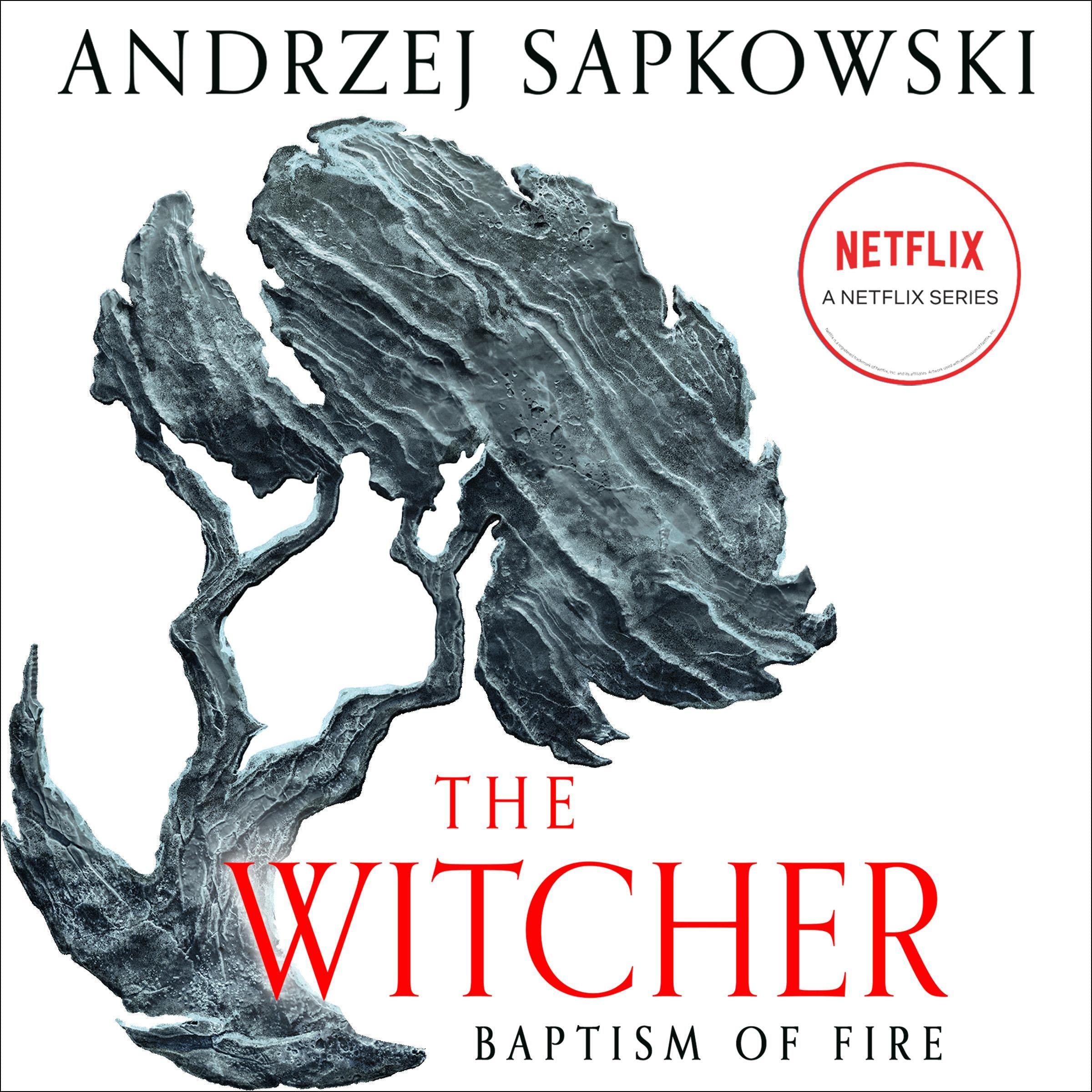Algopix Similar Product 17 - Baptism of Fire: The Witcher, Book 3
