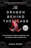 Algopix Similar Product 20 - The Dragon Behind the Glass A True