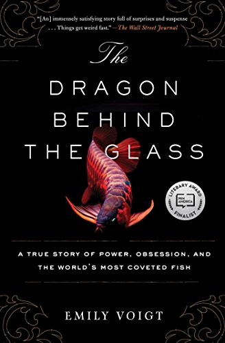 Algopix Similar Product 7 - The Dragon Behind the Glass A True