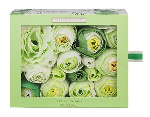 Algopix Similar Product 10 - Heathcote  Ivory Lily of the Valley
