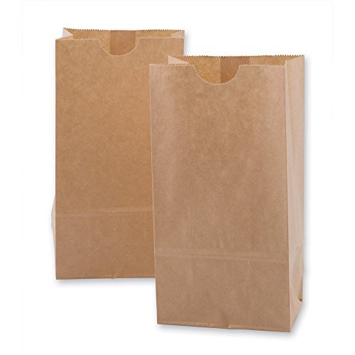 Algopix Similar Product 19 - DELIGHTBOX Mini Kraft Paper Bags 100