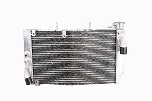 Algopix Similar Product 13 - OPL HPRM003 Aluminum Radiator For Honda