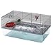 Algopix Similar Product 4 - Ferplast Favola Hamster Cage Includes