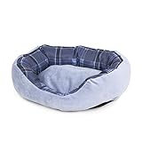 Algopix Similar Product 4 - Aspen Pet Oval Lounger 20 X 15