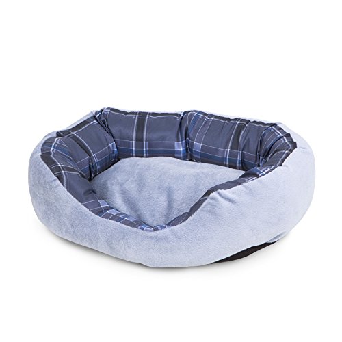 Algopix Similar Product 1 - Aspen Pet Oval Lounger 20 X 15
