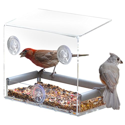 Algopix Similar Product 19 - PetFusion Tranquility Window Bird