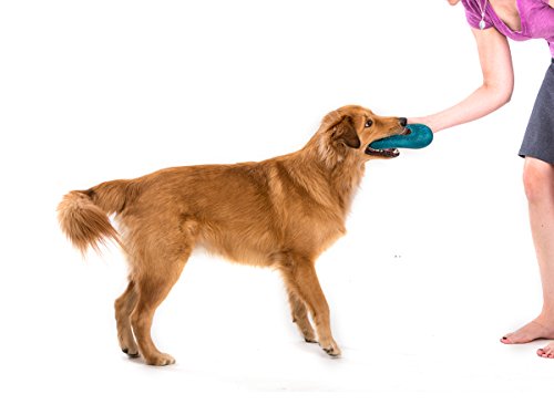 Algopix Similar Product 10 - West Paw Zogoflex Air Dash Dog Frisbee