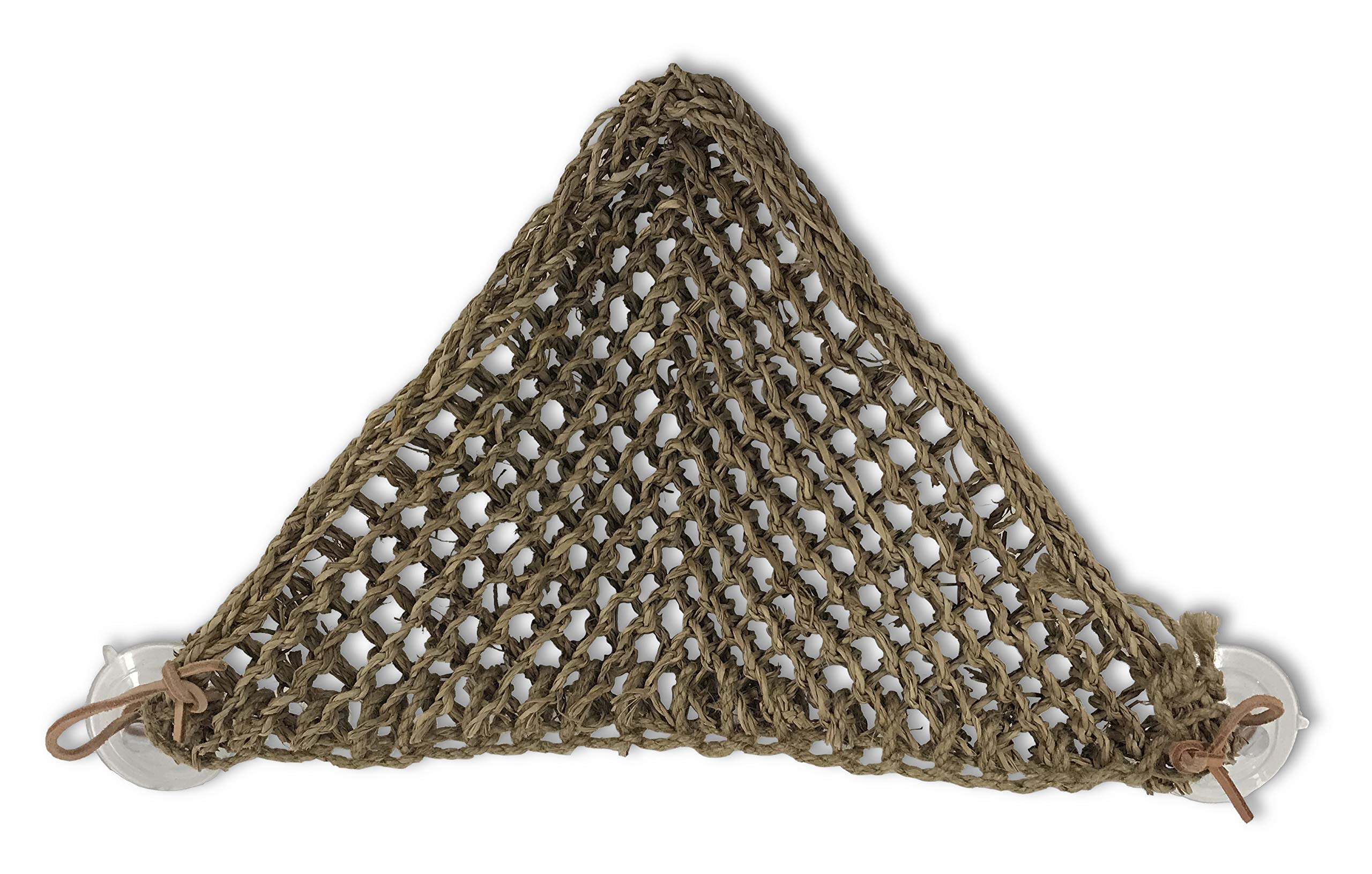 Algopix Similar Product 1 - PENNPLAX Reptology Lizard Lounger