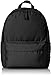 Algopix Similar Product 13 - Amazon Basics Classic School Backpack 