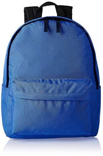 Algopix Similar Product 15 - Amazon Basics Classic School Backpack 