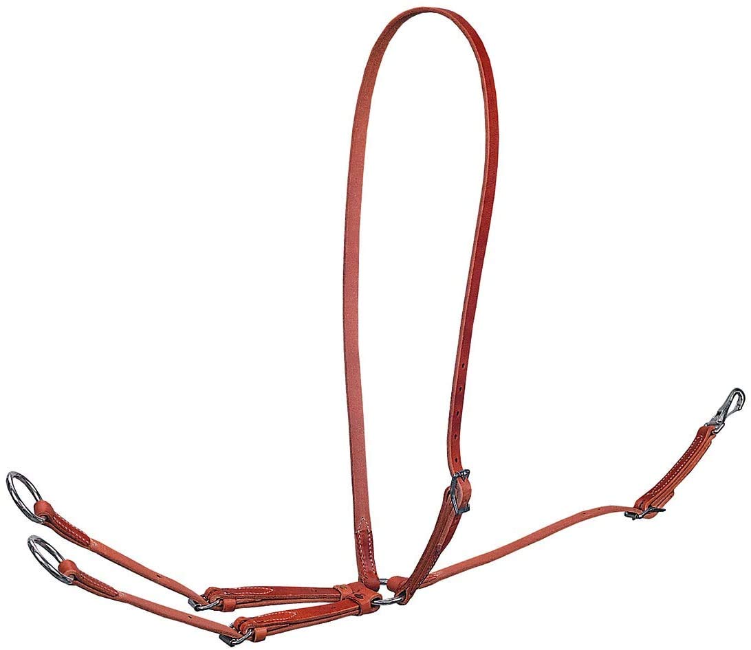 Algopix Similar Product 11 - Weaver Equine Standard Running