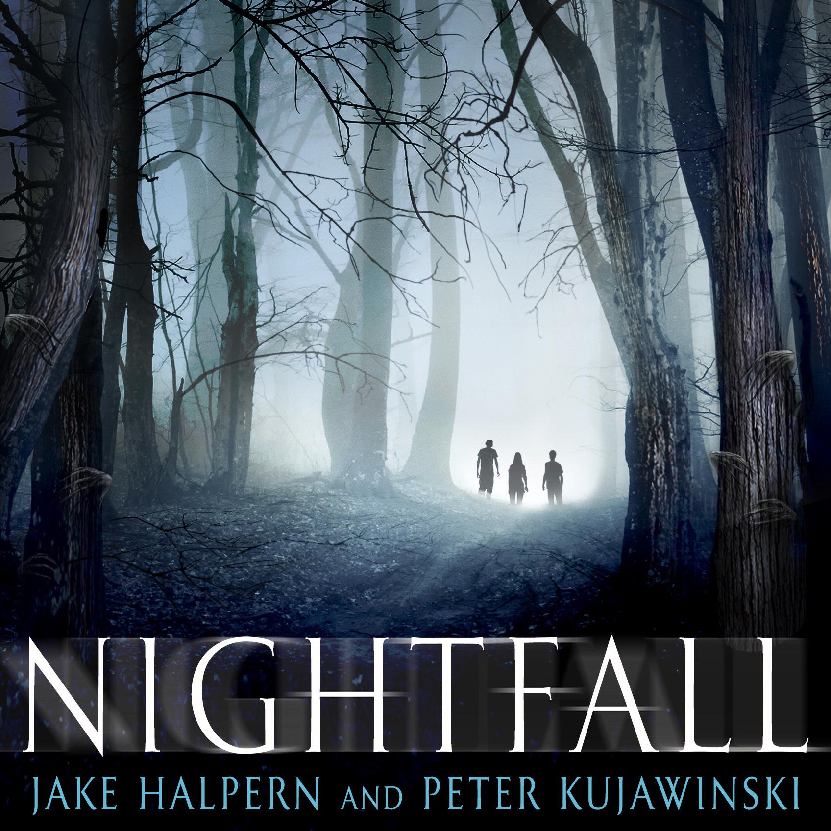 Algopix Similar Product 4 - Nightfall