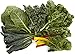Algopix Similar Product 19 - Weekly Greens Bundle