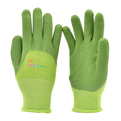 Algopix Similar Product 12 - G  F Products 20402G JustForKids