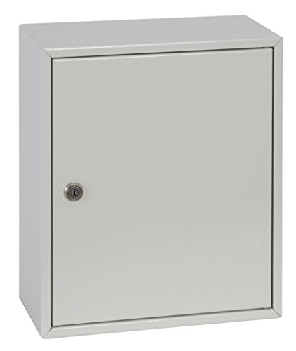 Algopix Similar Product 10 - Phoenix Keysure KC0301K 42 Hooks