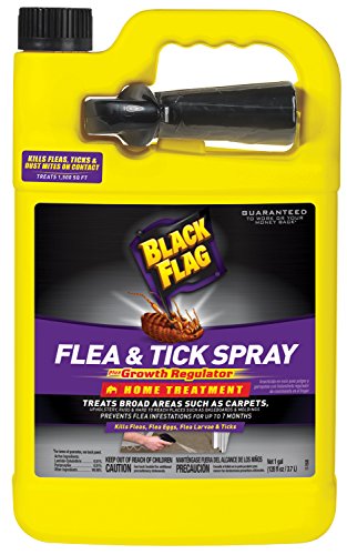 Algopix Similar Product 8 - Black Flag Flea  Tick Killer Home