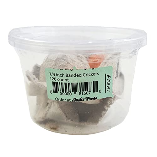 Algopix Similar Product 2 - Joshs Frogs 14 Banded Crickets 120