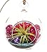 Algopix Similar Product 4 - Bliss Gardens Mini Air Plant Terrarium