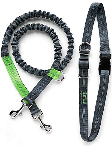 Algopix Similar Product 19 - Mighty Paw Hands Free Dog Leash 