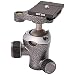 Algopix Similar Product 14 - Gitzo GH1382TQD Center Ball Head Series