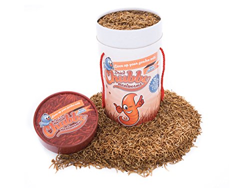 Algopix Similar Product 8 - Chubby Mealworms 3Lb Tub Bulk Dried