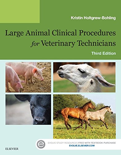 Algopix Similar Product 1 - Large Animal Clinical Procedures for