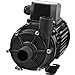 Algopix Similar Product 5 - Jabsco 436981 NEMP 806 Magnetic Drive
