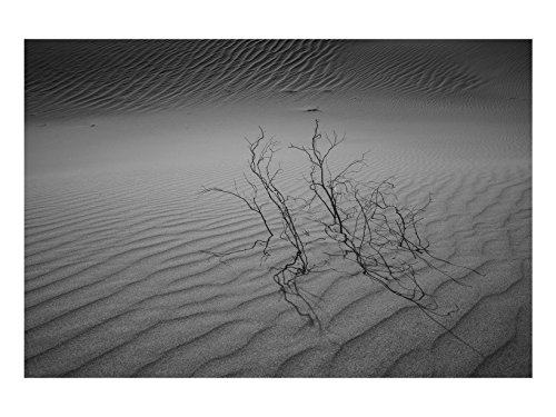 Algopix Similar Product 19 - Looking for Ansel Adams no. 3