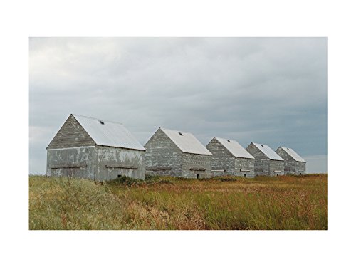 Algopix Similar Product 16 - 30 x 40 in. Geoff Moore Row