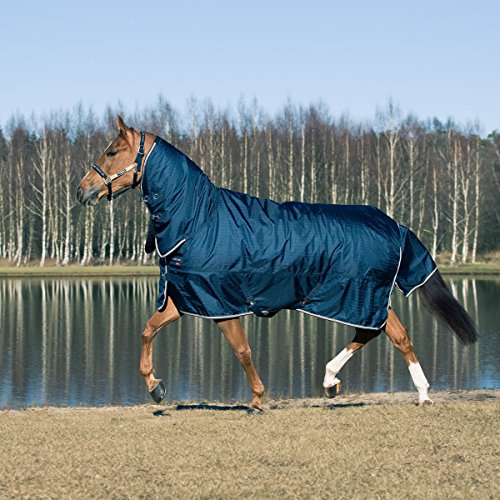Algopix Similar Product 12 - B Vertigo Georgia Turnout Sheet Dark