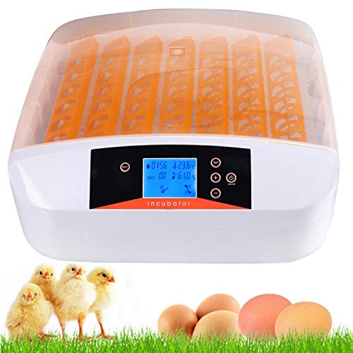 Algopix Similar Product 20 - Homdox Egg Incubator