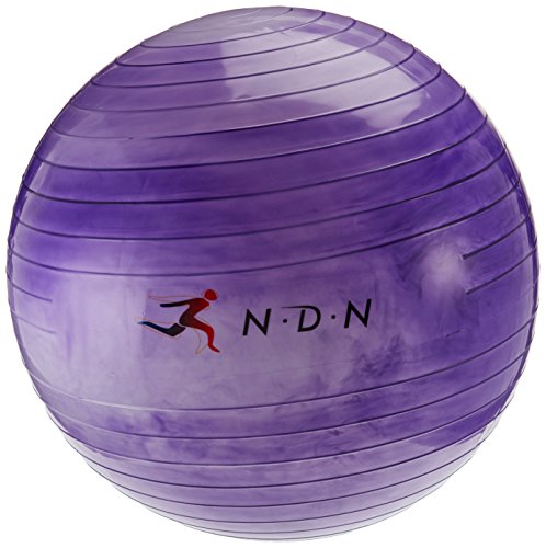Algopix Similar Product 13 - NDN LINE Purple Exercise Ball Gym