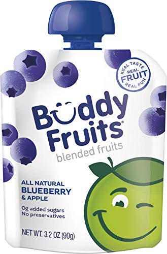 Algopix Similar Product 1 - Buddy Fruits Pure Blended Fruit To Go