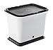Algopix Similar Product 20 - Full Circle Fresh Air OdorFree Kitchen