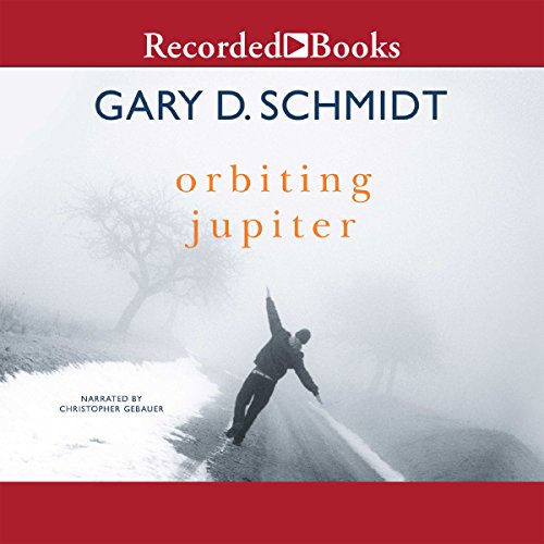 Algopix Similar Product 5 - Orbiting Jupiter