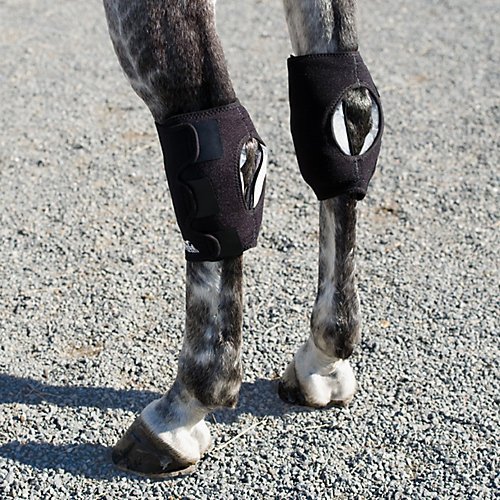 Algopix Similar Product 20 - Ice Horse Pair Pony Hock Wraps for