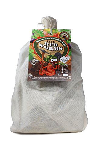 Algopix Similar Product 7 - NaturesGoodGuys Live Redworms
