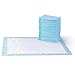 Algopix Similar Product 8 - Amazon Basics Puppy Pads with QuickDry