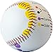 Algopix Similar Product 6 - Baseball Pitching Trainer Ball Kit