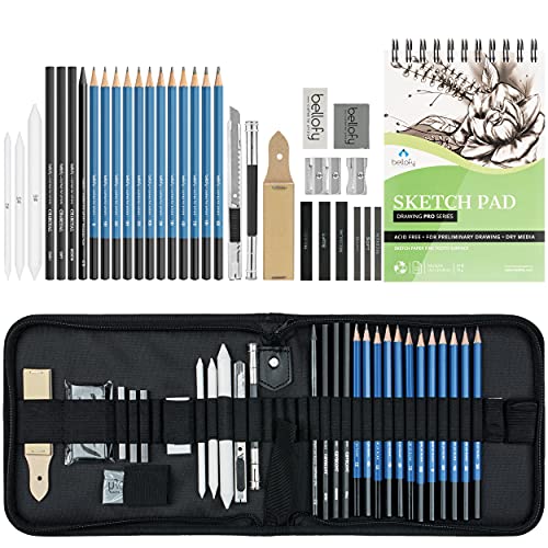 Algopix Similar Product 17 - Bellofy Drawing Kit Artists Supplies