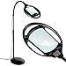 Algopix Similar Product 8 - Brightech LightView Pro Magnifying