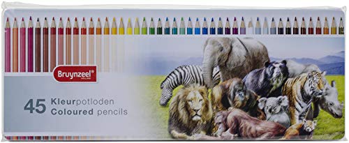 Algopix Similar Product 12 - Bruynzeel Special 45pc Colored Pencil