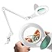 Algopix Similar Product 9 - Brightech LightView PRO Magnifying Desk