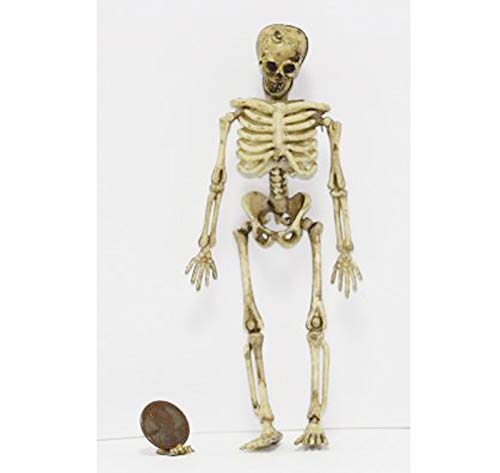 Algopix Similar Product 18 - Dollhouse Miniature Halloween Aged