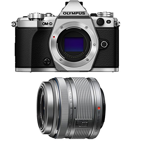 Algopix Similar Product 11 - Olympus OMD EM5 Mark II Silver