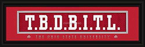 Algopix Similar Product 2 - Ohio State Buckeyes Stitched Uniform