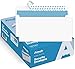Algopix Similar Product 3 - 10 Security SelfSeal Envelopes