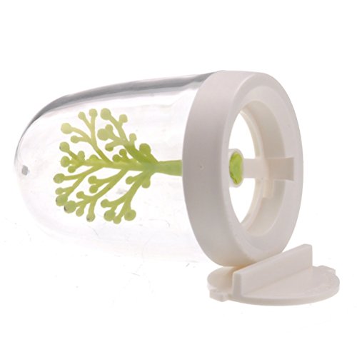 Algopix Similar Product 17 - Dealglad 4pcs Creative Plastic Kitchen