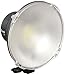 Algopix Similar Product 14 - Elinchrom Quadra HS Head (EL20153)