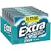 Algopix Similar Product 10 - EXTRA Gum Polar Ice Bulk Chewing Gum
